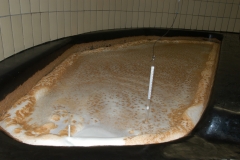 2006DoerrGaerung