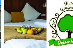 AmtsHotel_GruenerBaum