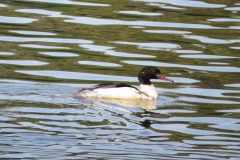 Wandertour-de-Bier 2018
