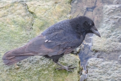 Wandertour-de-Bier 2018