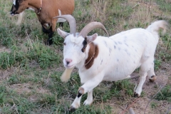 Wandertour-de-Bier 2018