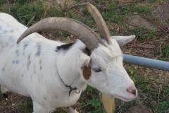 Wandertour-de-Bier 2018