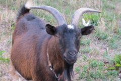 Wandertour-de-Bier 2018