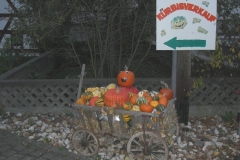 2010_WTdB_01_18