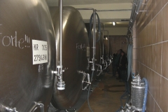 2010_WTdB_01_69