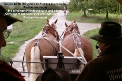 2014_WaTdB 859