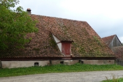 2014_WaTdB 868