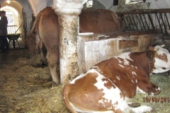 2014_WaTdB 875
