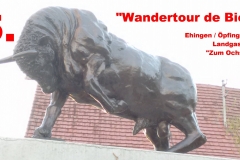 Wandertour-de-Bier 2015 - Ehingen