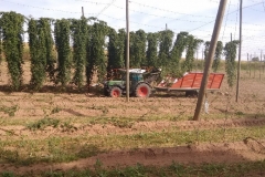 19 IMG_20160903_100502407