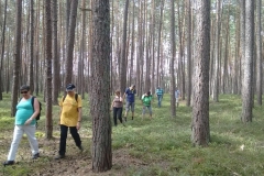 23 IMG_20160903_122010292