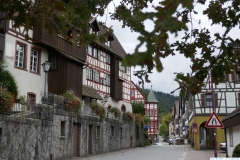 75_WTdeB Floesserpfad