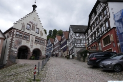 79_WTdeB Floesserpfad